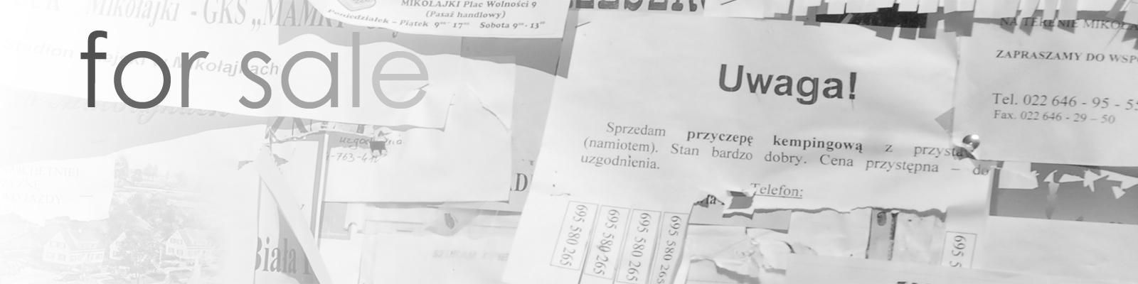 24x36.pl - fotografie na sprzedaż pliki prawa do publikacji
