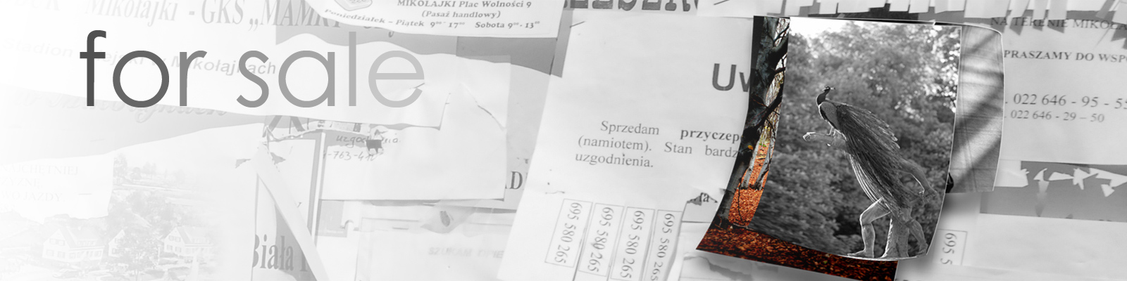 zdjęcia na sprzedaż pliki prawa do publikacji