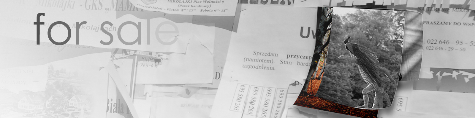 fotografie na sprzedaż pliki prawa do publikacji